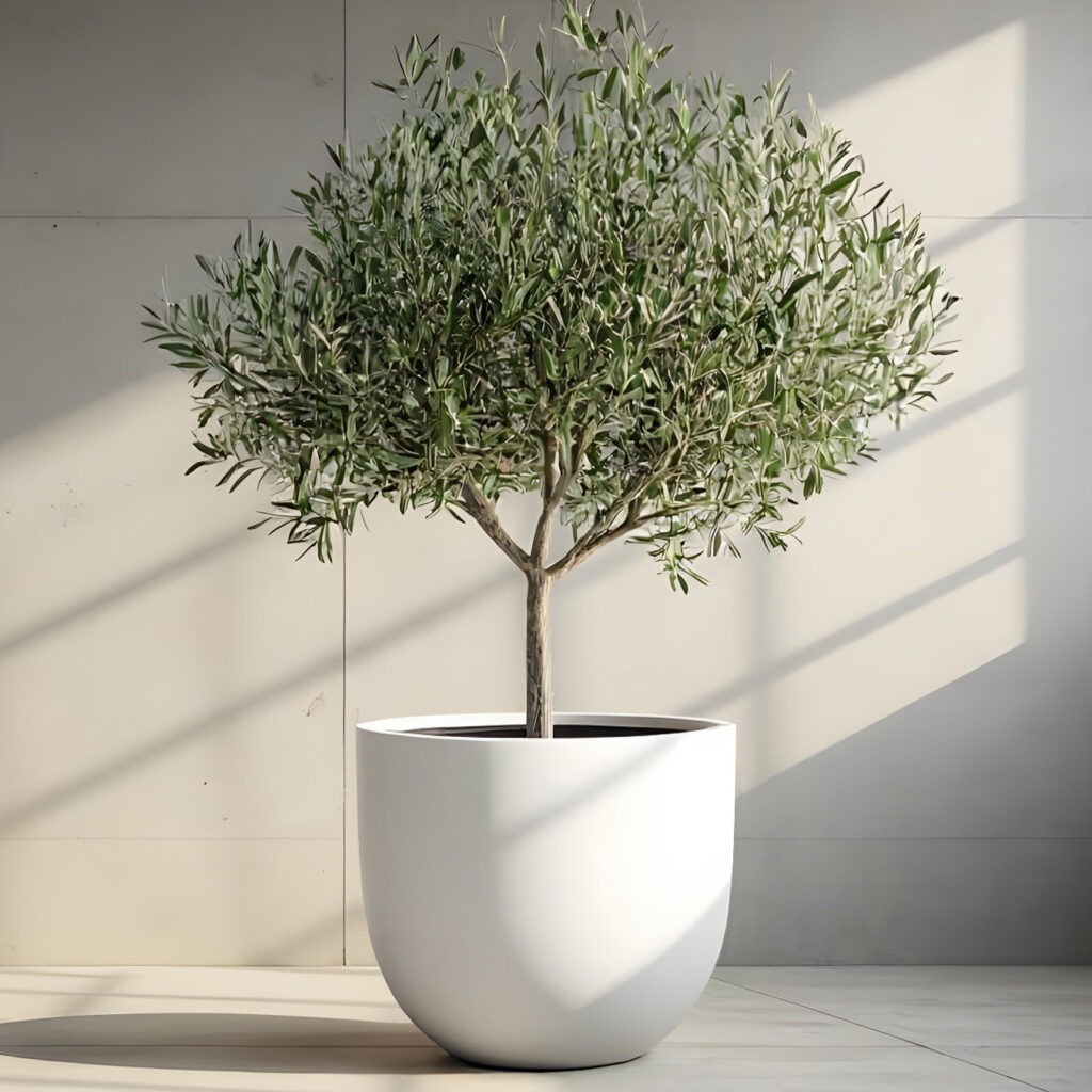 Tegal Planters