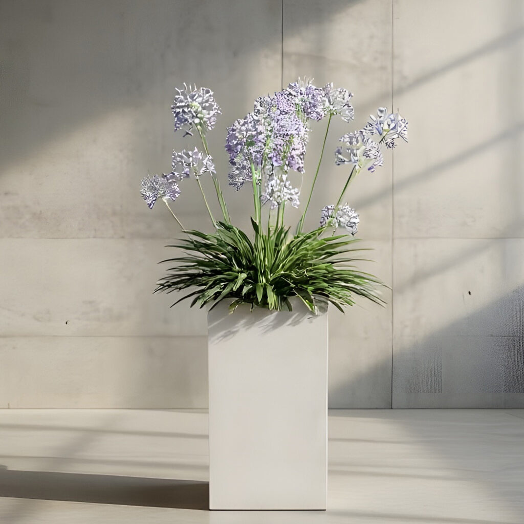 Rote Planters