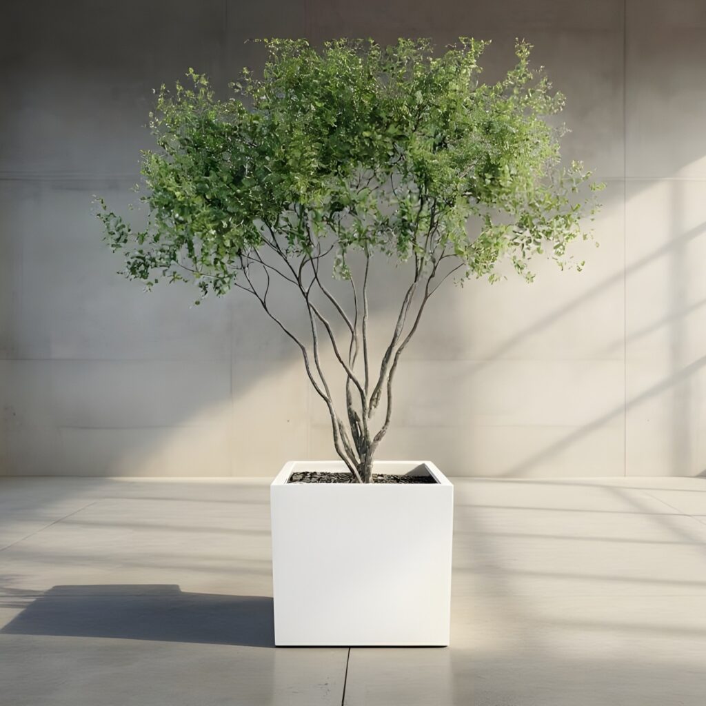 Sanur Planters