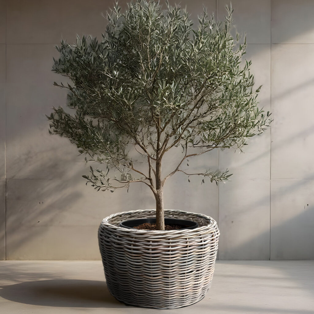 Kubu Basket