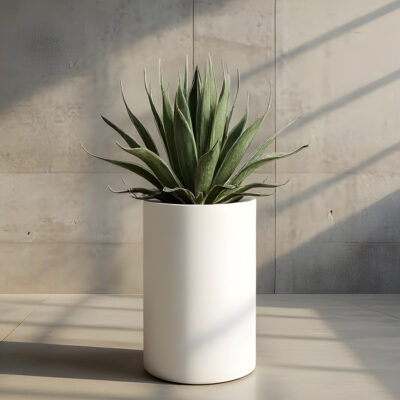 Sumbawa Planters