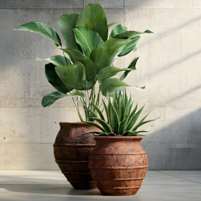 Taranto Planters